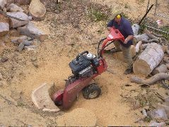 Image of a stump grinder in operation