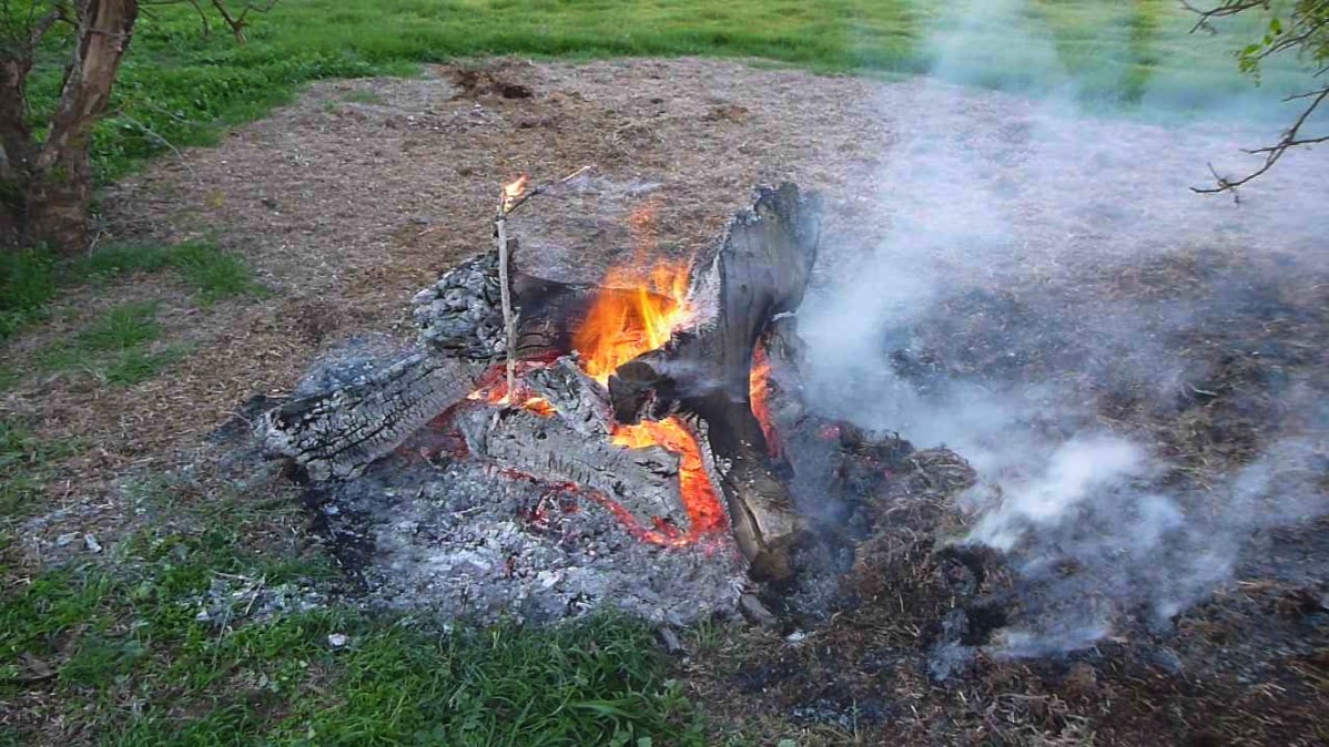 Image of removing a stump by burning nearly finished